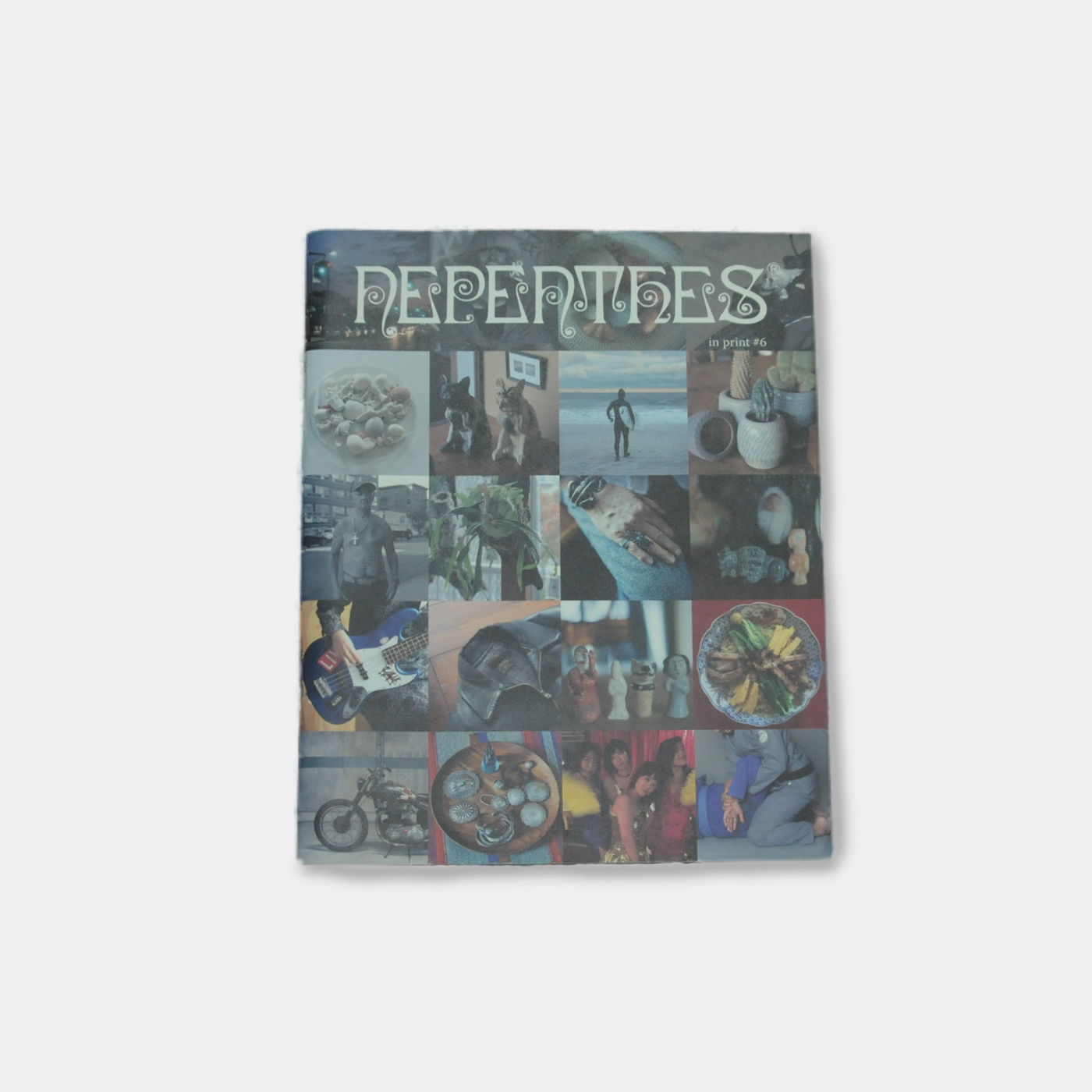 Nepenthes in print #6