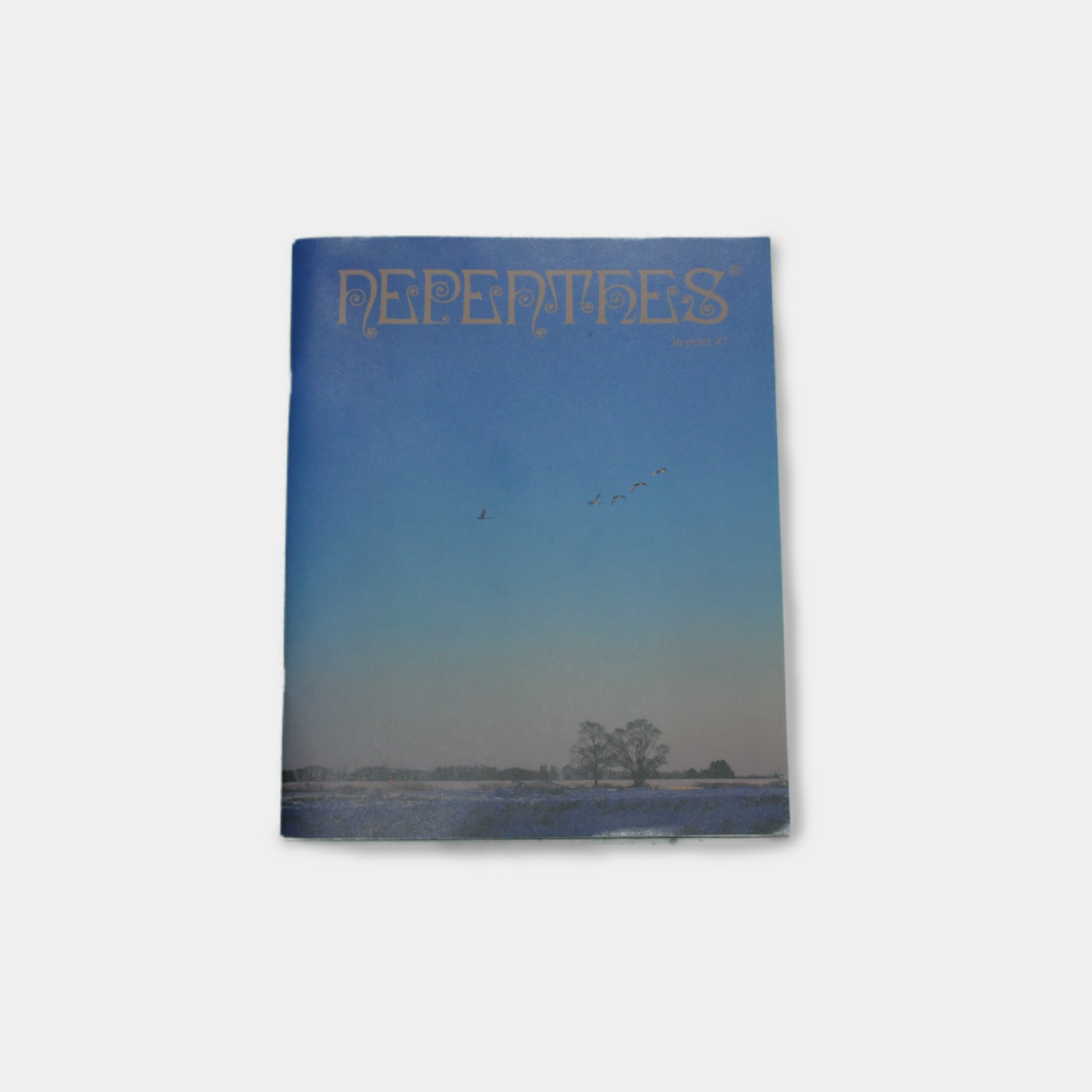 Nepenthes in print #7