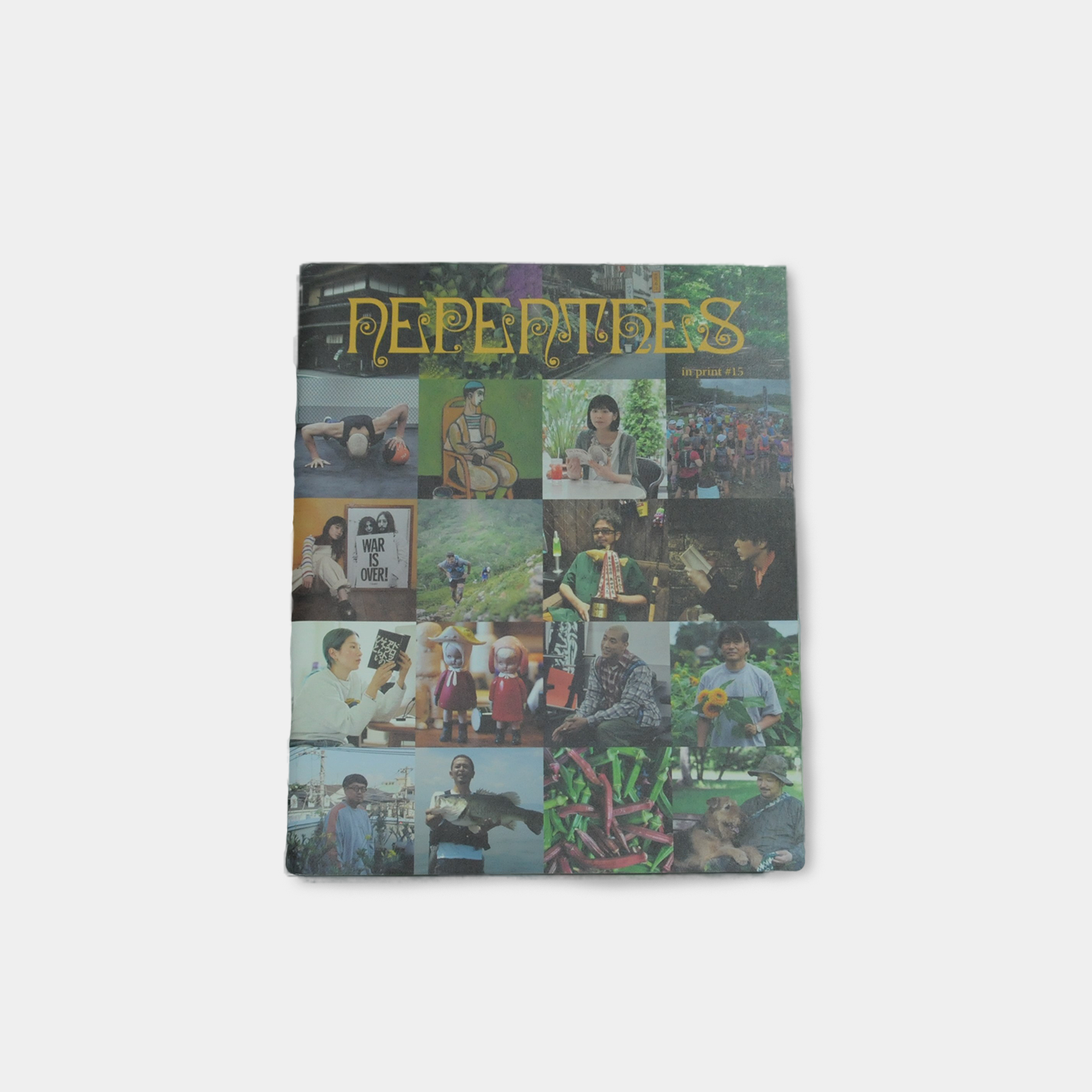 Nepenthes in print #15