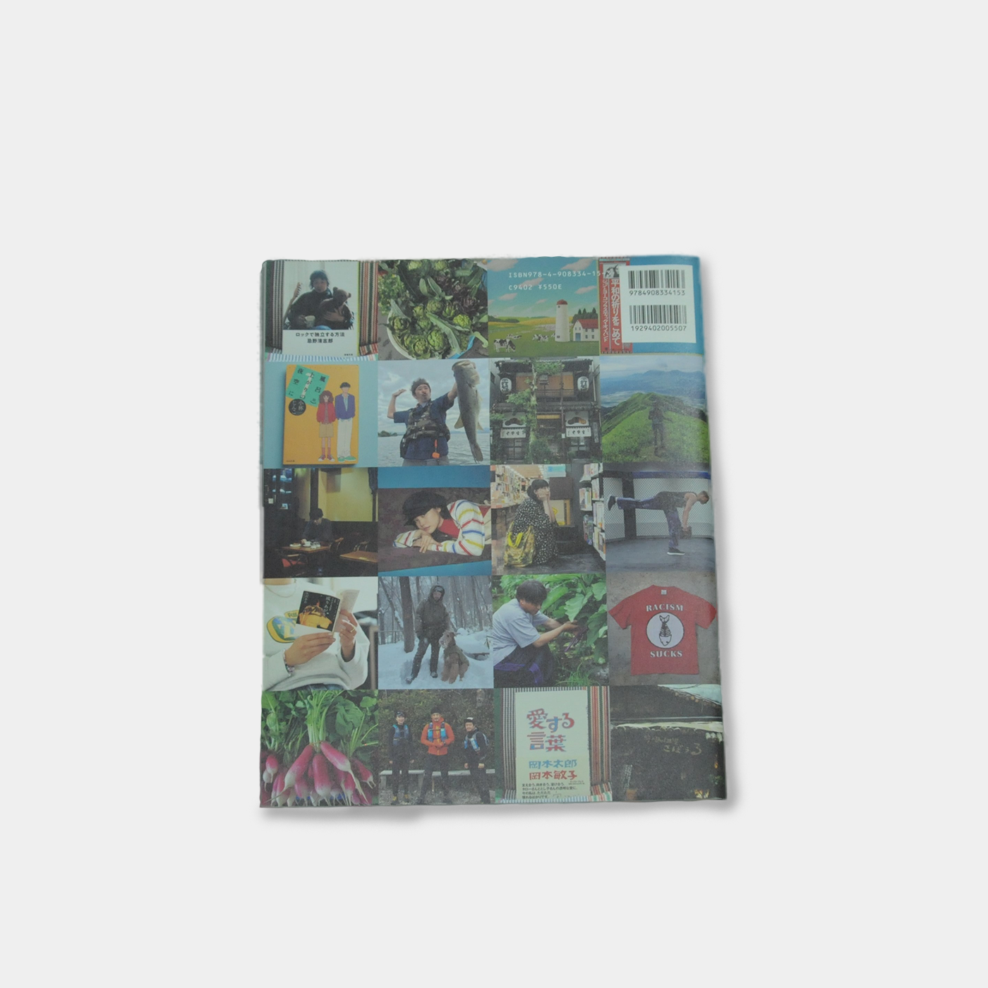 Nepenthes in print #15