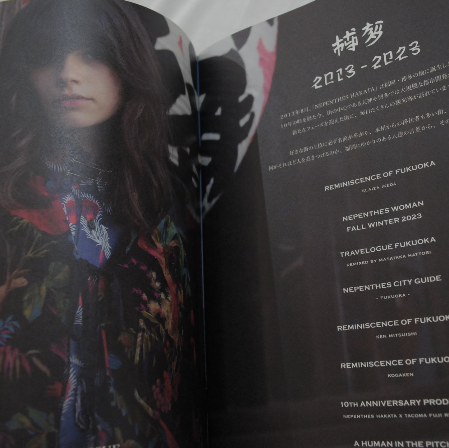Nepenthes in print #19