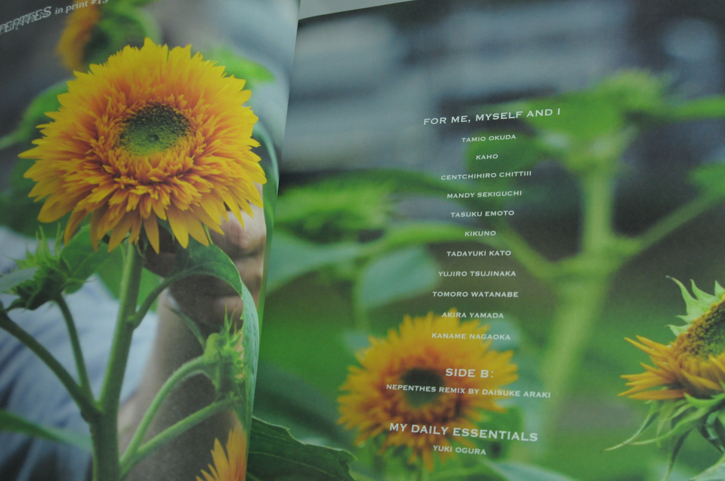 Nepenthes in print #15