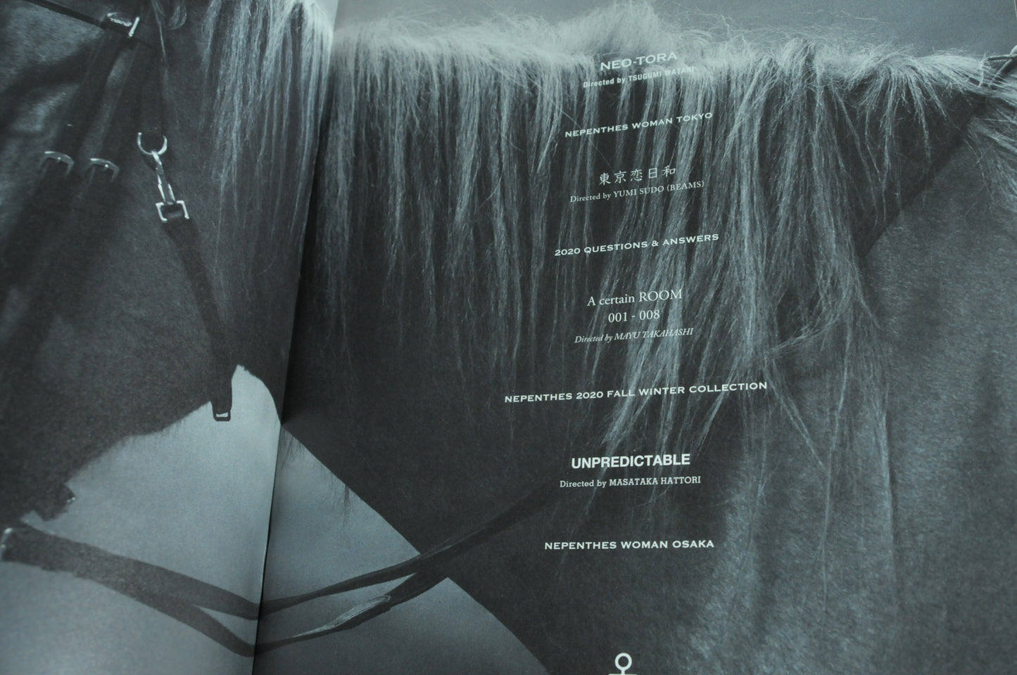 Nepenthes in print #13
