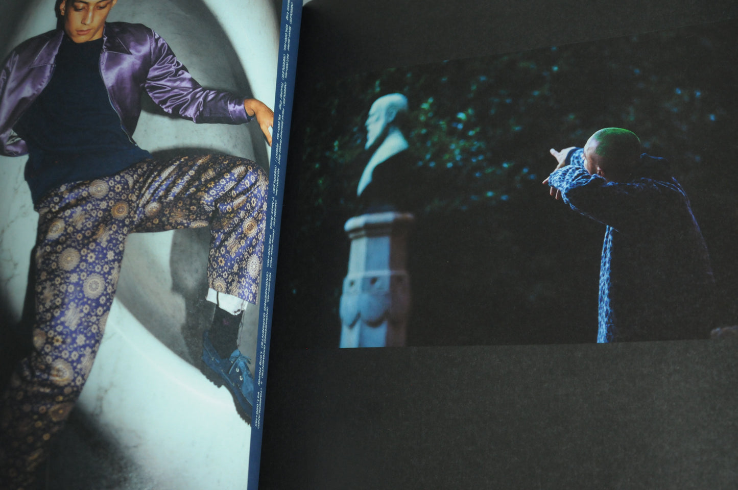 Nepenthes in print #8