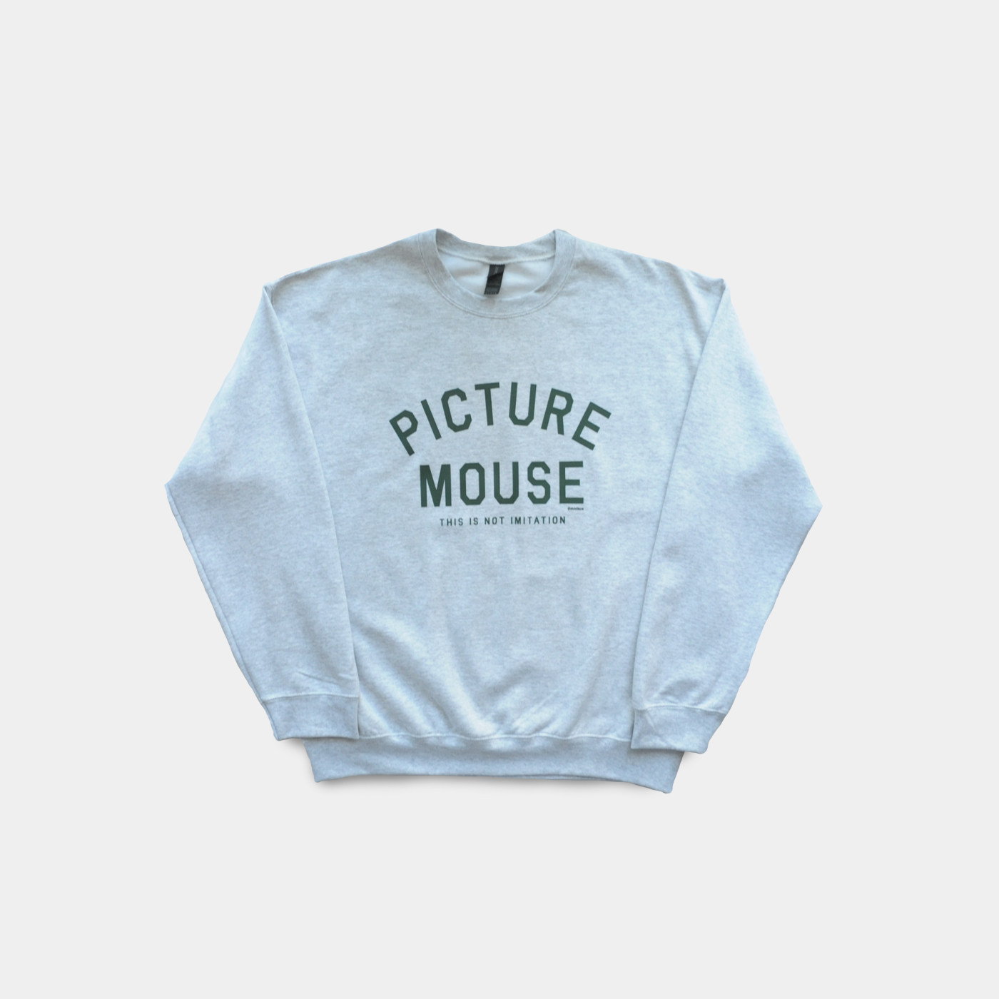 PICTURE MOUSE SWEAT